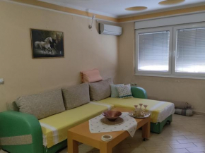 Central apartment